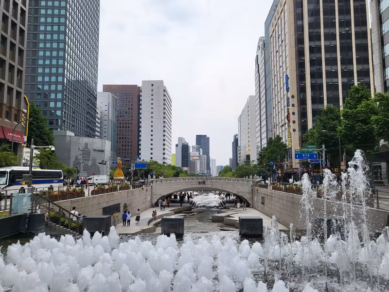 Seoul Private Tour - Cheonggye Stream