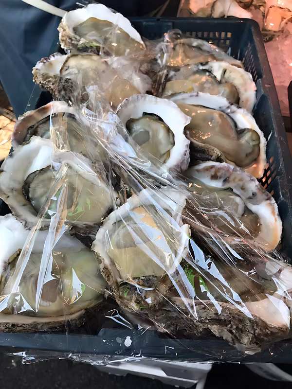Tokyo Private Tour - Fresh oysters, straight from the sea.
