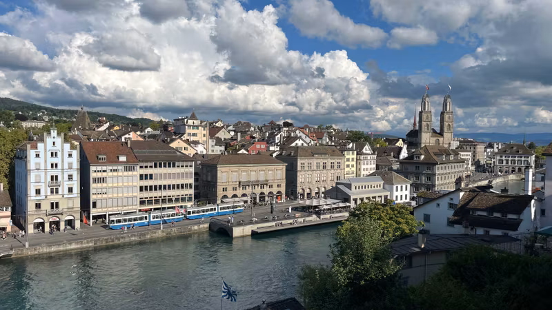 Zurich Private Tour - Viewpoint Lindenhof