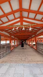 One-day Hiroshima / Miyajima Private Tour - 1