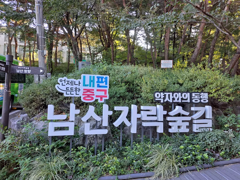 Seoul Private Tour - Namsan Jarak-gil (walking trail)