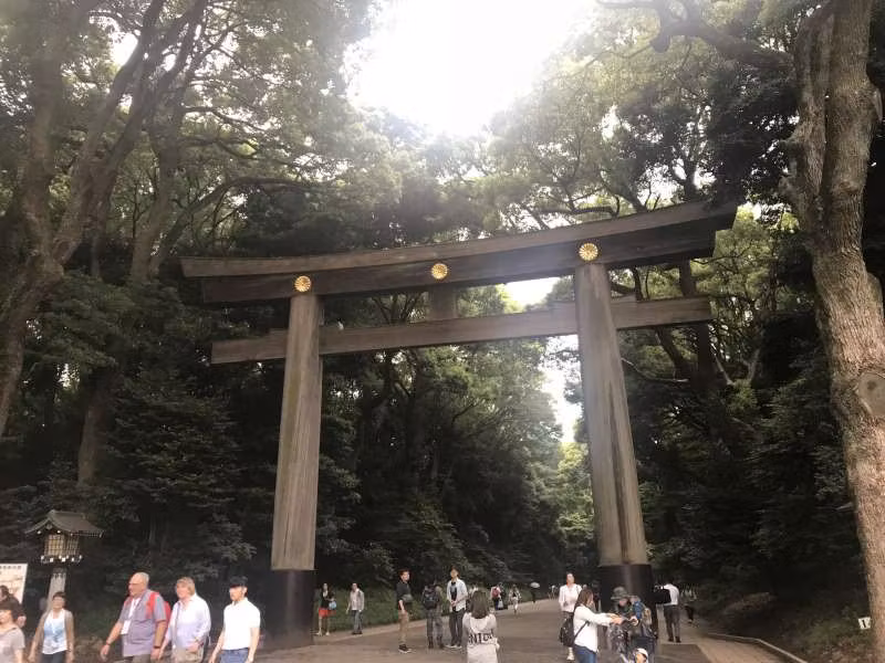 Tokyo Private Tour - null
