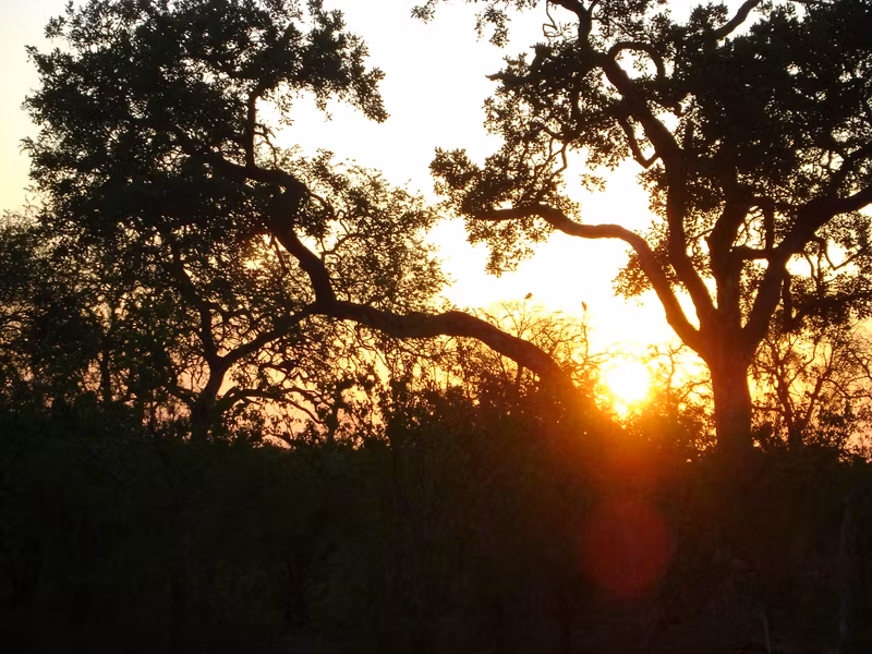 Gauteng Private Tour - Sunrise in Kruger National Park