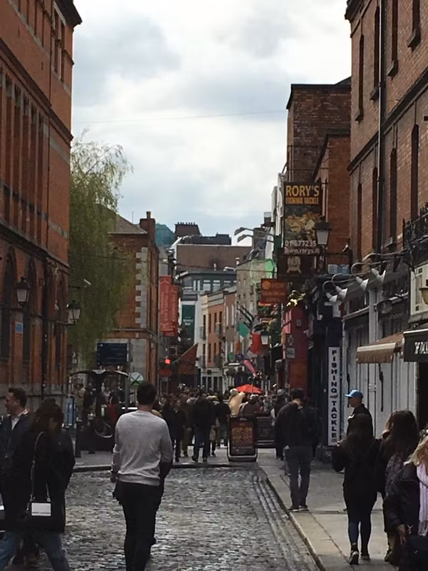 Dublin Private Tour - Temple Bar