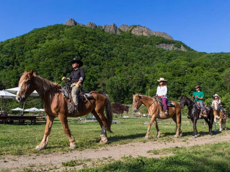 Hokkaido Private Tour - 札幌市南区砥山地区/野生骑马WildMustangs/八剑山骑马活动