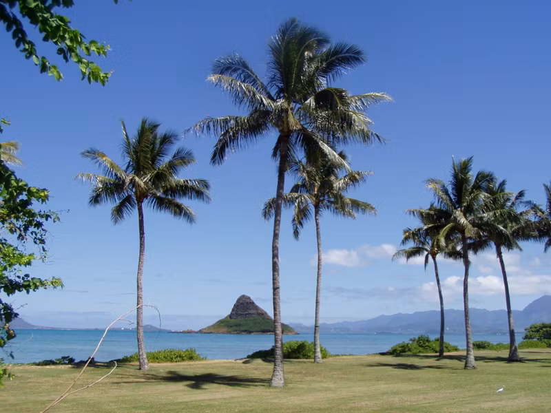 Hawaii (Oahu) Private Tour - 