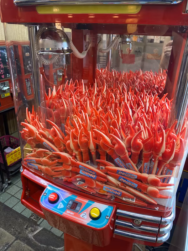 Osaka Private Tour - 