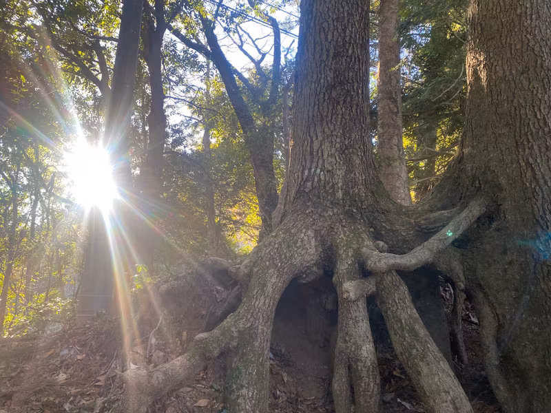 Tokyo Private Tour - 