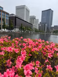 Tokyo Six Hour Tour Customized for You - 2