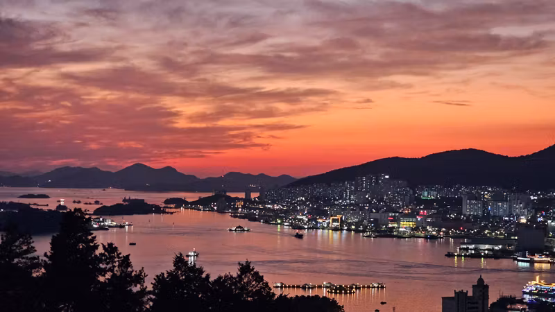 South Jeolla Private Tour - Yeosu Night Sea