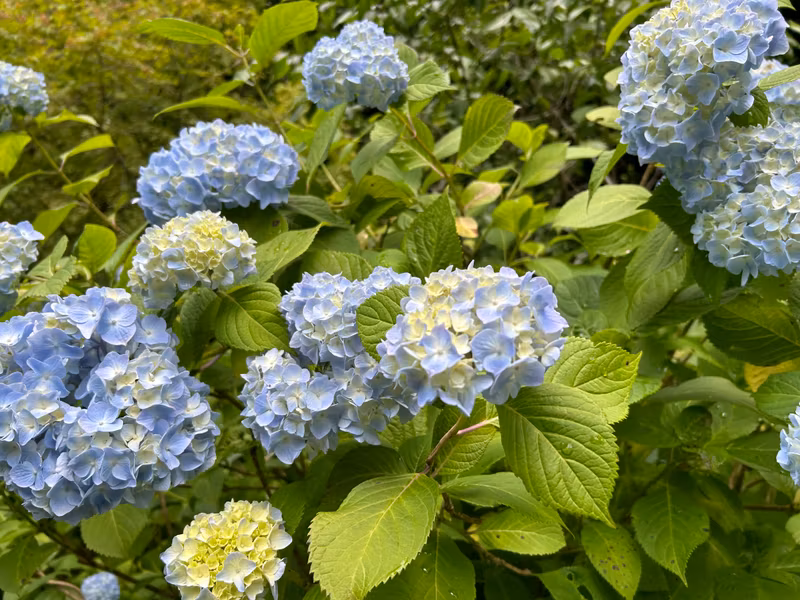 Tokyo Private Tour - 
