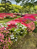 Tokyo tour à la carte - 1