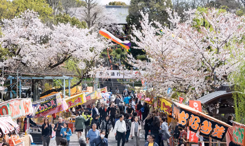 Tokyo Private Tour - Ueno Park