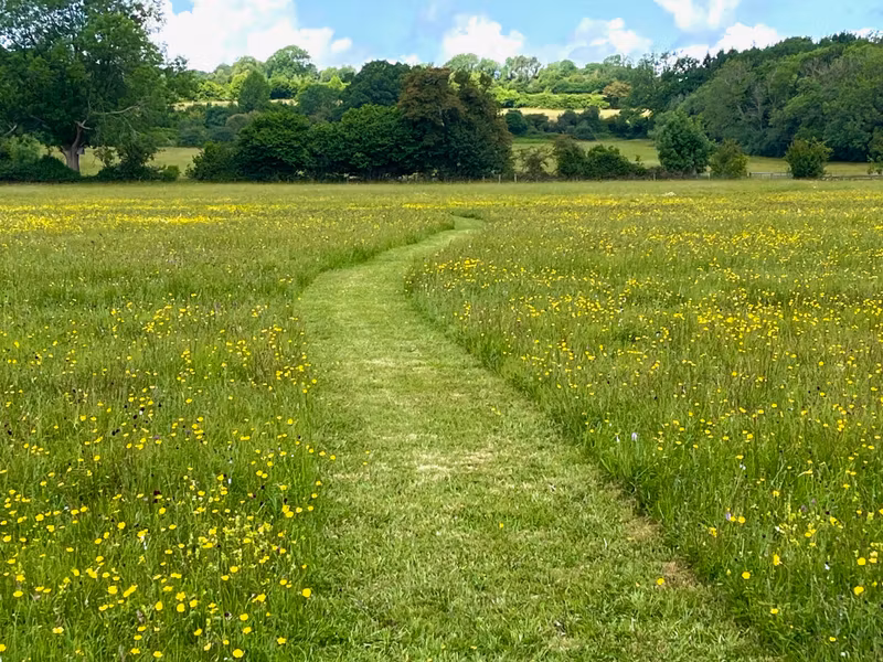 Cotswolds Private Tour - Upper Slaughter 4