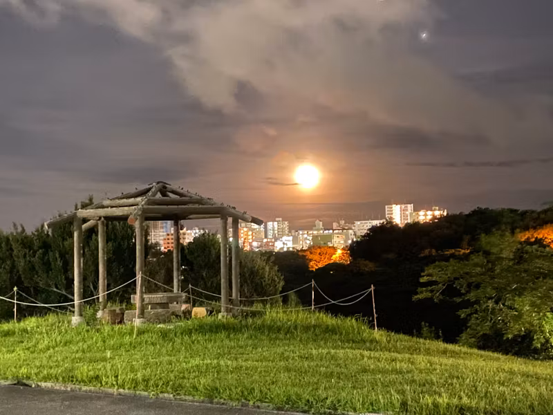 Okinawa Main Island Private Tour - 