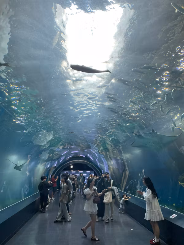 Tokyo Private Tour - M10. Aqua Park Shinagawa
