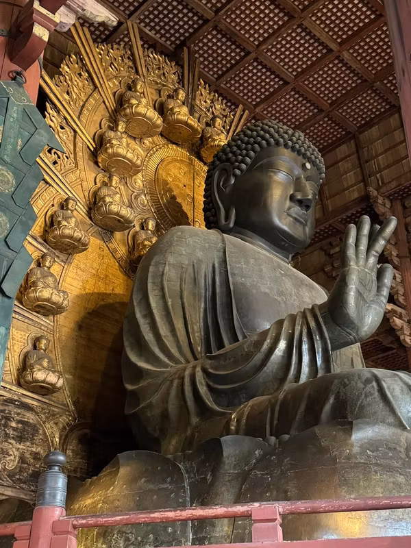 Kyoto Private Tour - Great Buddha of Nara
