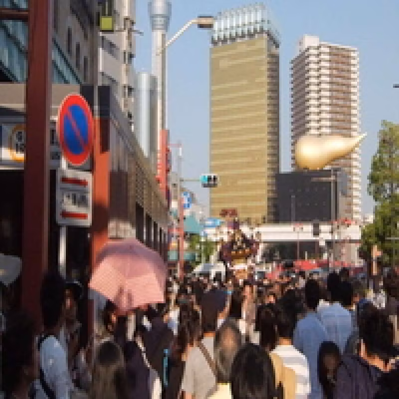 Tokyo Private Tour - Festival in Asakusa