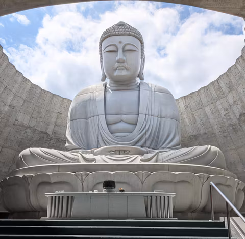 Serenity, Skyscrapers & Sips: Hill of the Buddha, JR Tower 38 & Craft Sake Tourcover image