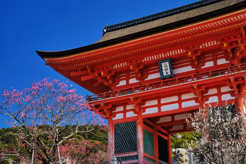 Kyoto Half-Day Cultural Tour (4 Hours)cover image