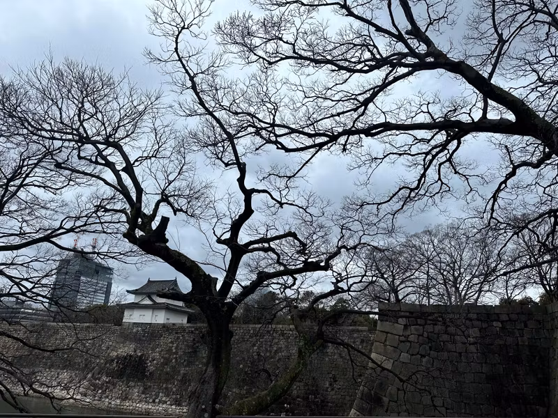 Osaka Private Tour - Yagura behind the trees