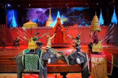 Pattaya Private Tour - Nong Nooch Tropical Garden