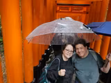 Full-Day Nara tour from Kyoto with a private guide - 1