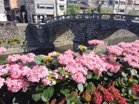 Hydrangeas as the city flower & a hidden Garden in Nagasakicover image