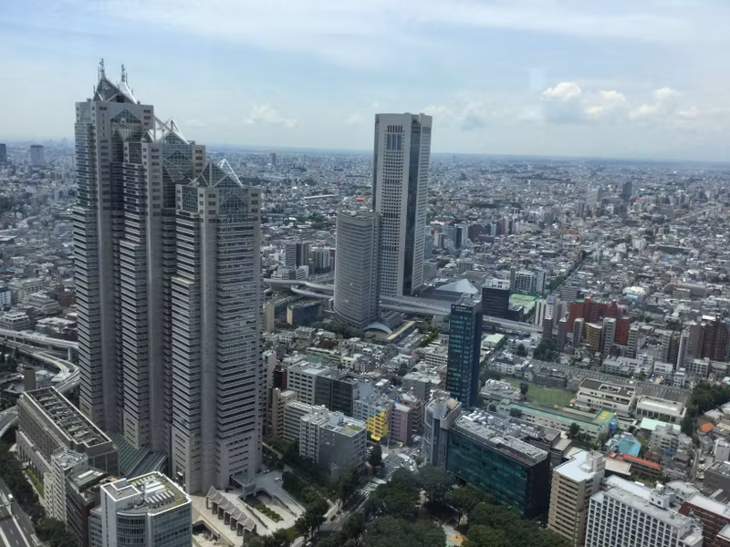 Tokyo Private Tour - O3. Tokyo Metropolitan Government Observatory (Its