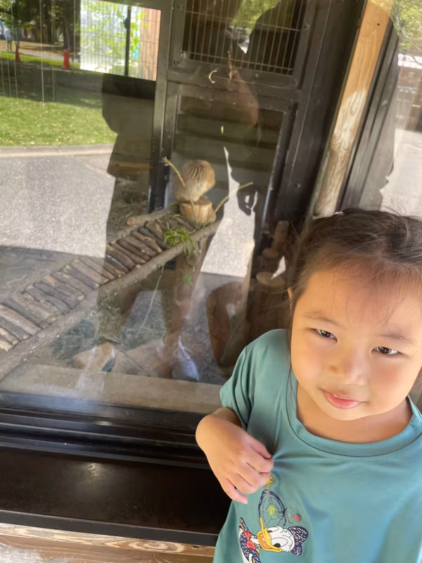Kumamoto Private Tour - In the zoo