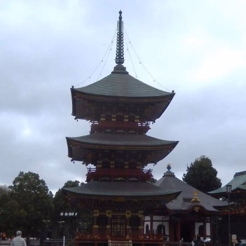 Narita Private Tour - Three-storied pagoda at the Narita-san Shinshoji