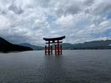 Full-day Hiroshima/Miyajima tour with Local certified guide - 1