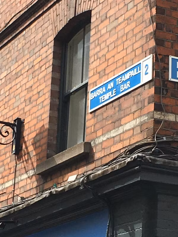 Dublin Private Tour - Temple Bar
