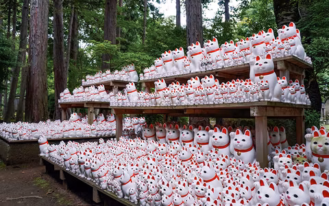 Lucky Cat (Gotokuji temple) and Shimokitazawa tourcover image