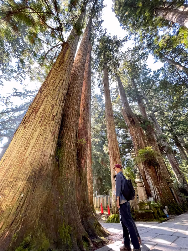 Mount Koya Private Tour - 