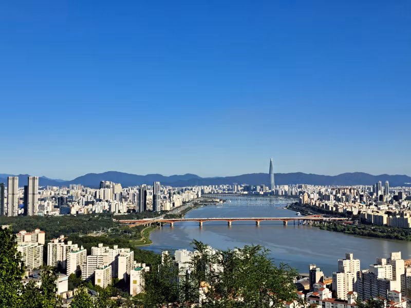 Seoul Private Tour - a view from the top of the hill