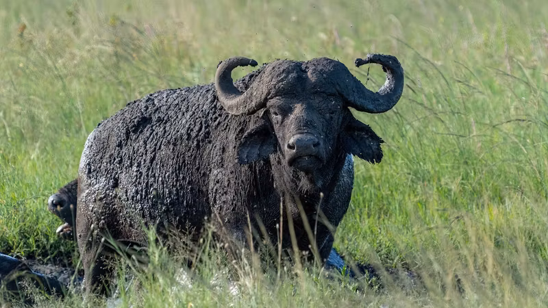 Arusha Private Tour - 