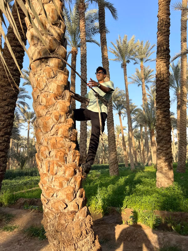 Cairo Private Tour - 