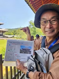 Western Highlights in Kyoto for the first time visitor Full Day Tour - 1