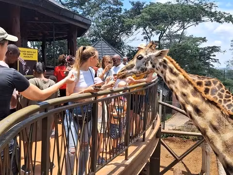 Nairobi Private Tour - 