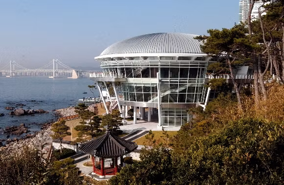 Busan Private Tour - 