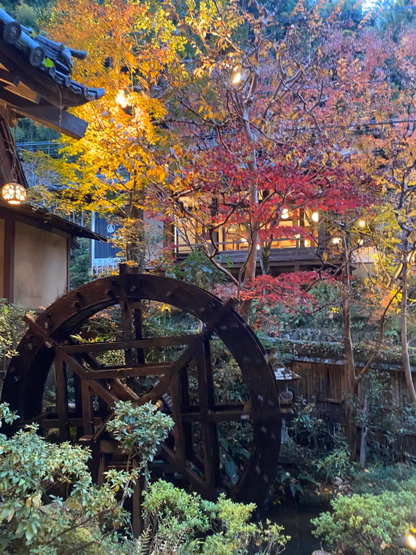 Tokyo Private Tour - And picture taking…
