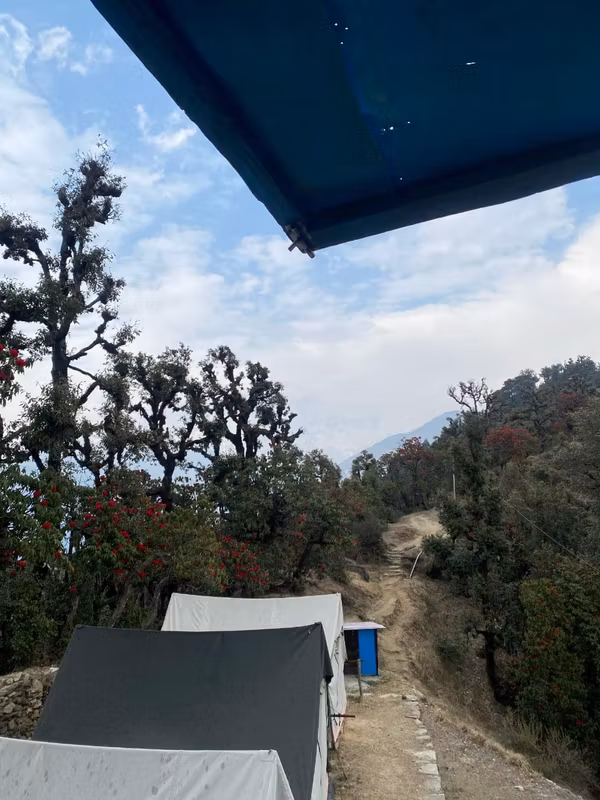 Rishikesh Private Tour - view around camp