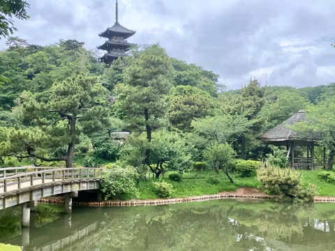 Yokohama East Meets West Full Day Private Car Tour with Chinese Food & Pastrycover image