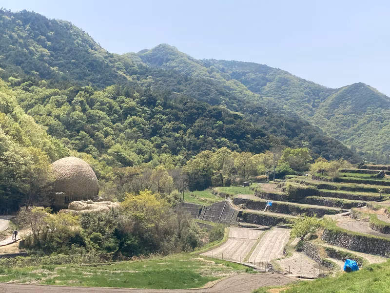 Kagawa Private Tour - Ebrace Shodoshima: bamboo installation
