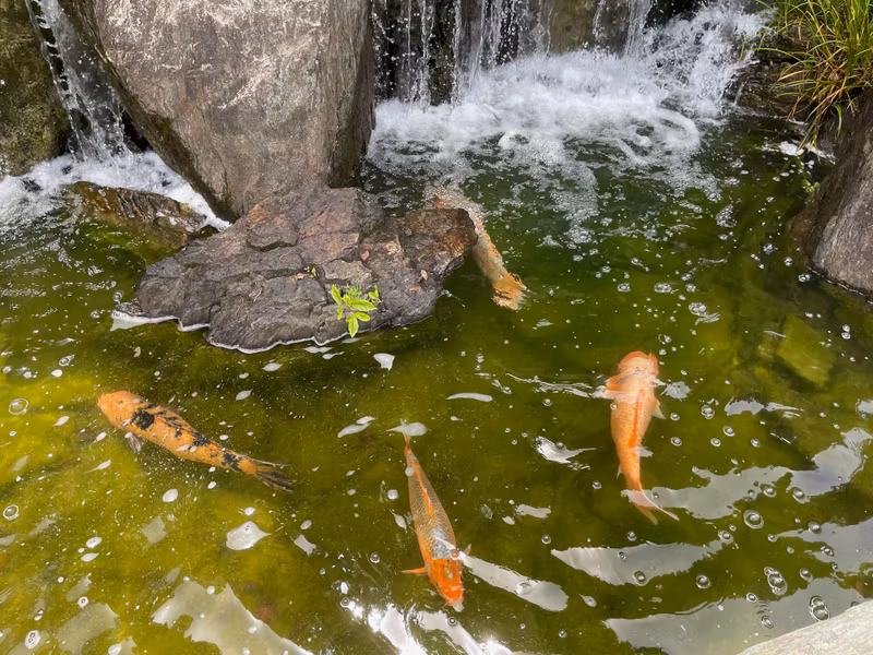 Fukuoka Private Tour - Japanese Garden