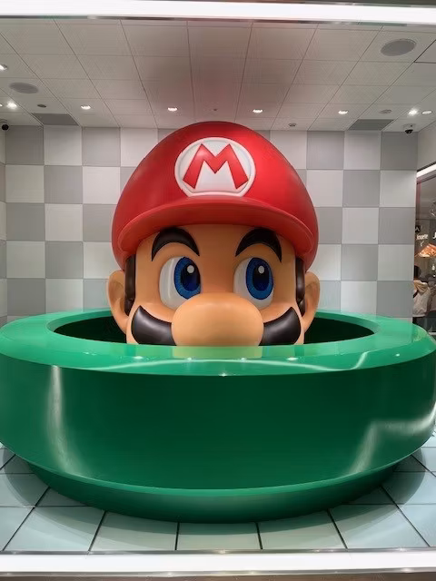 Gifu Private Tour - Mario in Kyoto