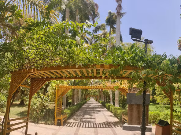 Aswan Private Tour - Botanical garden