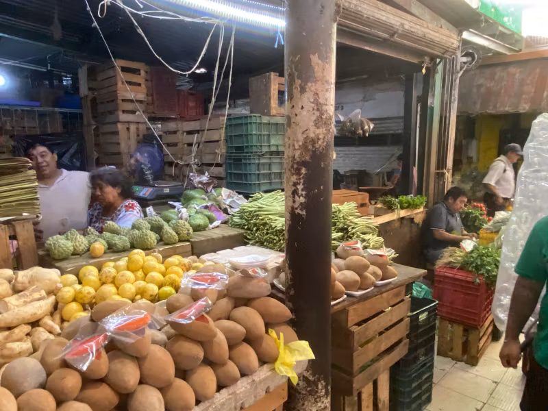 Merida Private Tour - 