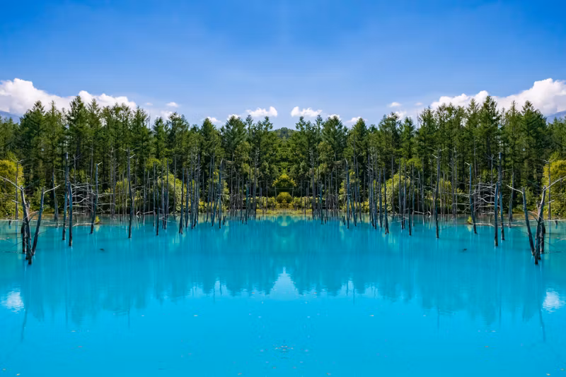 Sapporo Private Tour - The Blue Pond